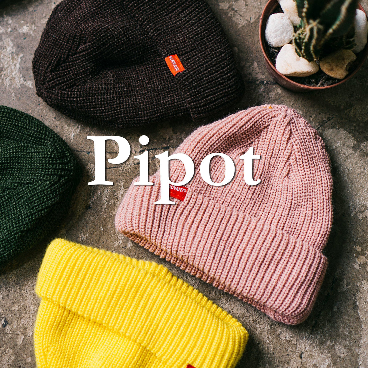 Pipot